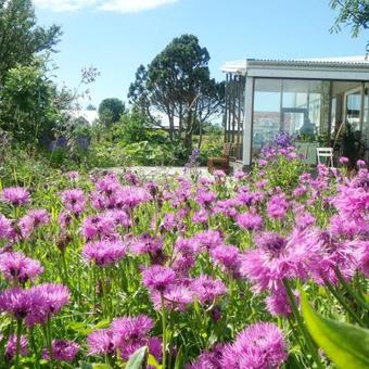 Hostal Eyvindarholt Guesthouse