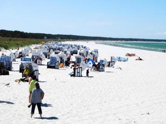 Apartmenth�user Zum Zeesenboot