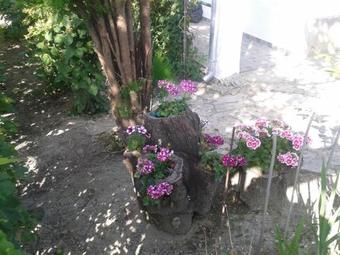 Holiday Home In Tihany/balaton 20236