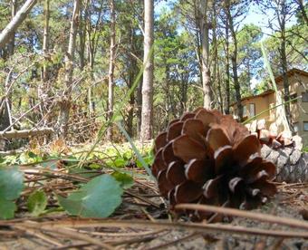 Lodge Descansos Del Este