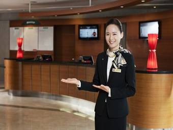 Hotel Ibis Ambassador Myeong-dong