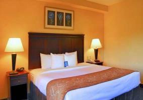 Hotel Comfort Suites Columbia Gateway