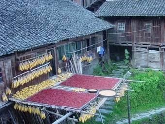 Long Ji International Youth Hostel, Guilin