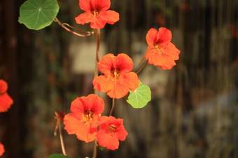 Hostal Shangri-la Lanxi Boutique Inn