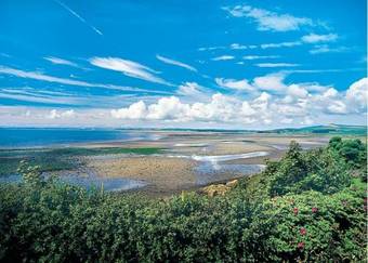 Whitecairn Holiday Park