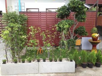 Hotel Friend's House Resort