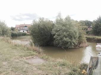 Woodpaddock Bed & Breakfast