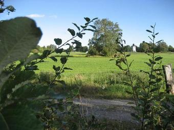 Bed & Breakfast Woodstock B & B