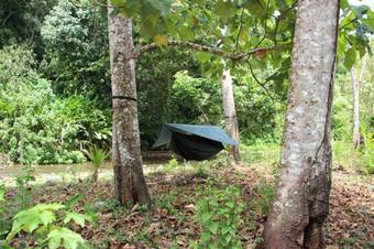 Utopia Tica Organic Farm & Hostel