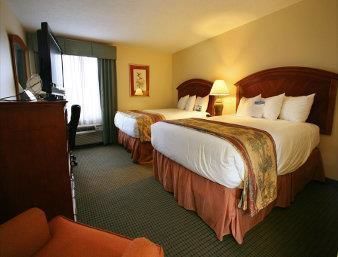 Ver fotos