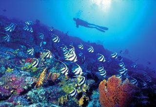 Hotel Sheraton Denarau Villas