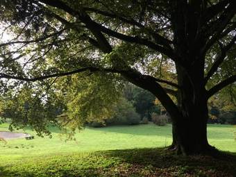 Bed & Breakfast Ch�teau De Colagnie-des-bois