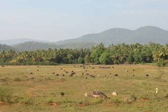 Albergue Summer By Thehostelcrowd