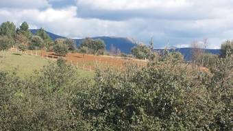 Hotel Hostal Rio Almar