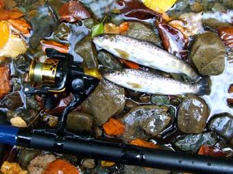 Agroturismo Usadba Okhotnichiy Dvor