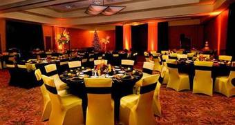 Hotel Hilton St. Petersburg Carillon Park