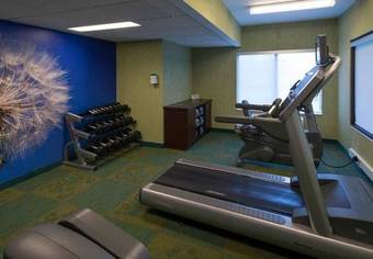 Hotel Springhill Suites Chicago Bolingbrook