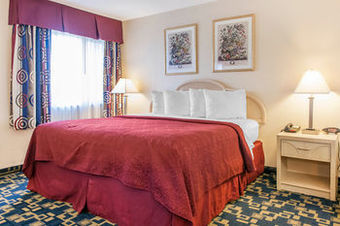 Hotel Quality Inn Effingham