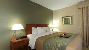 Hotel Comfort Inn Near Greenfield Village