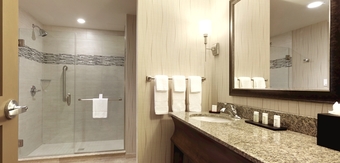 Hotel Embassy Suites Saratoga Springs