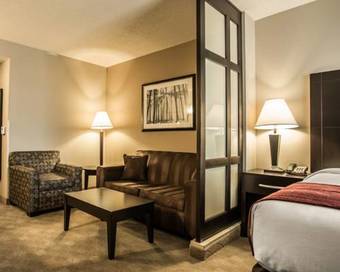 Hotel Comfort Suites Huntersville