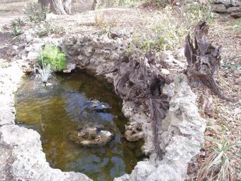 Rocky Overlook At Scurlock Farms