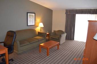 Hotel Quality Inn And Suites At Reliant Park