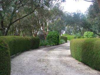 Cobden Crest Cottages