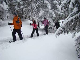 Apartment Erzberg Appartement C