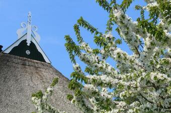 Apartamento It Foarh�s