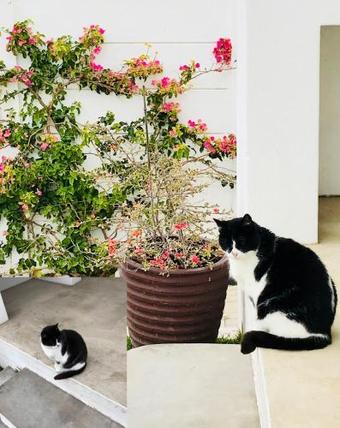 Friedse Plek At Lamberts Bay