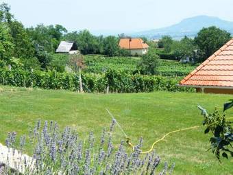 Hostal Szab� Pince Vend�gh�z