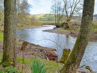 Ruthlin Mews Cottage