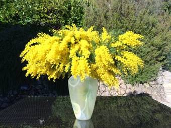 Bed & Breakfast Villa Des Oliviers