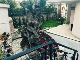 Hostal Piccola Dimora Villa Candido