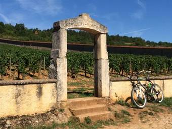 G�te La Maison De Lucien