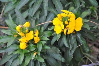 Bed & Breakfast Les Charmilles