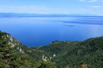 Hostal Studio Medveja 3430a