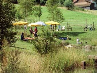 Hostal Gasthof Steinwald