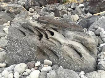 Hostal Voneten Guest House