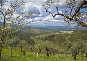 Agroturismo 12 Meses Naturalmente