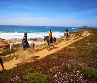 Agroturismo Herdade Do Pessegueiro
