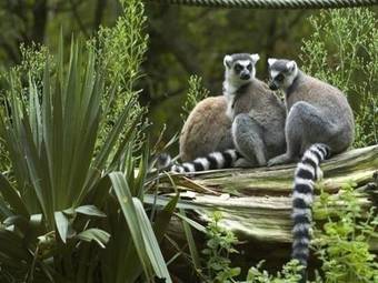 Villa Imp De Braza Maison Avec Jardin Clos