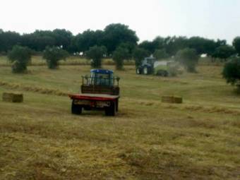 Hostal Monte Ara�jos