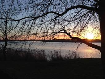 Bed & Breakfast Saltmarshe Hall