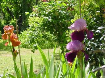 Hotel Le Mas Ferrand