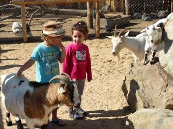 Hotel Camping La Grand'm�tairie