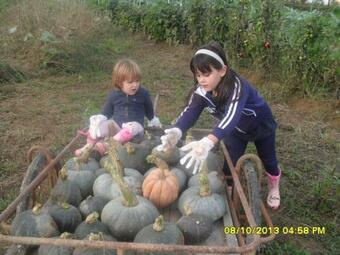 Agroturismo Agriturismo L'antico Sapore