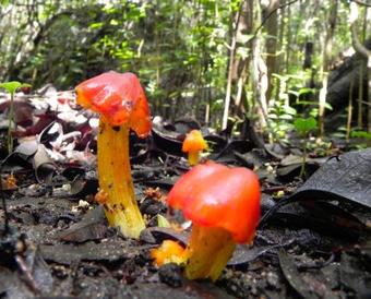 Tierra Sagrada Eco Lodge