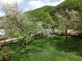 Apartamento Ferienwohnung Hanke